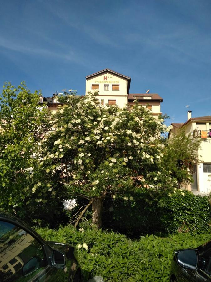 Hostal Pirineos Ainsa Exterior photo